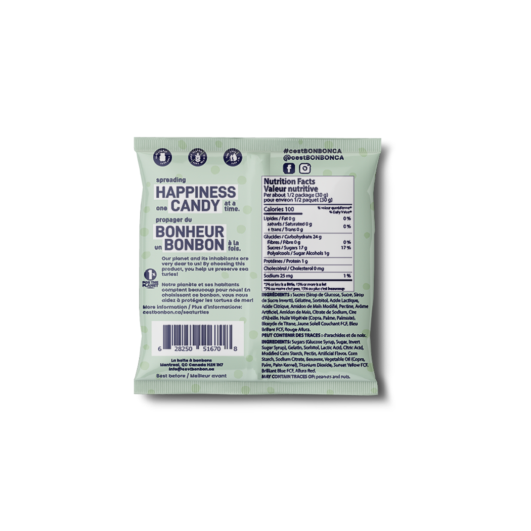 SEA TURTLES GUMMY CANDIES